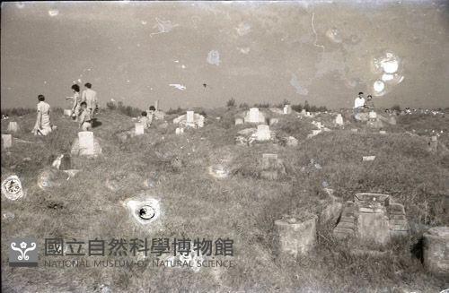 1950至2006年臺灣常民生活藏品圖，第1張