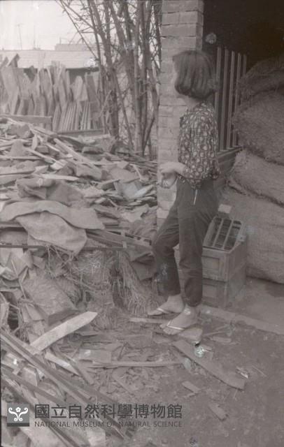 1950至2006年臺灣常民生活藏品圖，第1張