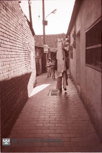 1950至2006年臺灣常民生活藏品圖，第1張