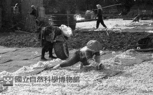1950至2006年臺灣常民生活藏品圖，第1張