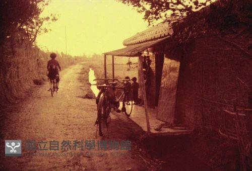 1950至2006年臺灣常民生活藏品圖，第1張