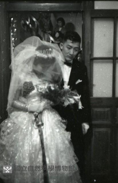 1950至2006年臺灣常民生活藏品圖，第1張