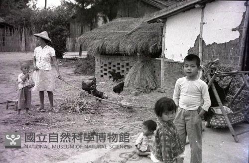 1950至2006年臺灣常民生活藏品圖，第1張