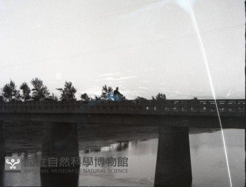 1950至2006年台灣常民生活(No:134-3 黑)藏品圖，第1張