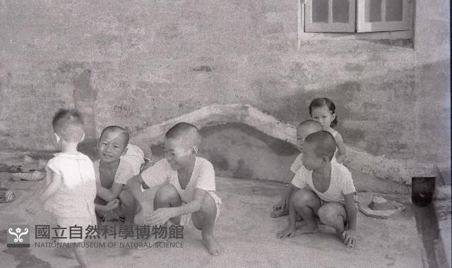 1950至2006年臺灣常民生活藏品圖，第1張