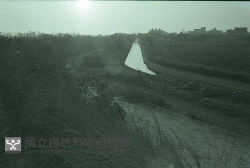 1950至2006年台灣常民生活藏品圖，第1張
