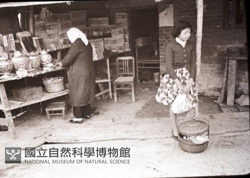1950至2006年臺灣常民生活藏品圖，第1張