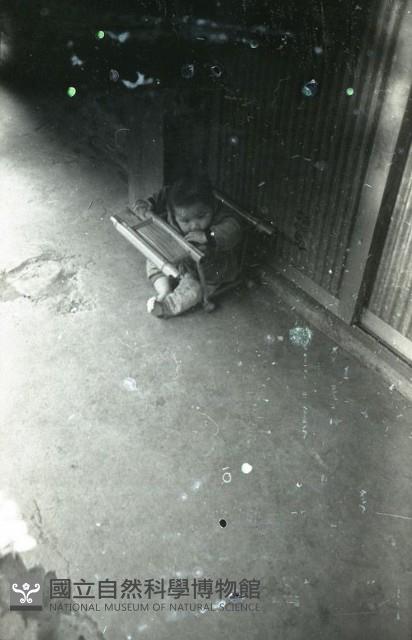 1950至2006年臺灣常民生活藏品圖，第1張