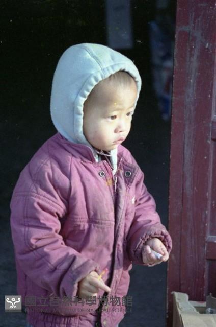 1950至2006年臺灣常民生活藏品圖，第1張