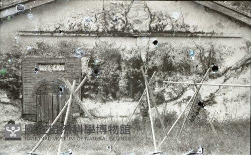 1950至2006年臺灣常民生活藏品圖，第1張