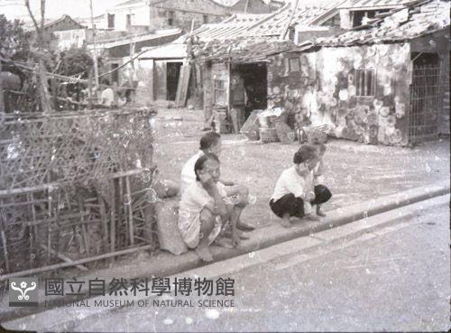 1950至2006年臺灣常民生活藏品圖，第1張