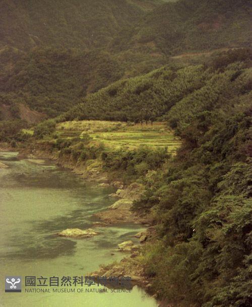 1950至2006年臺灣常民生活藏品圖，第1張
