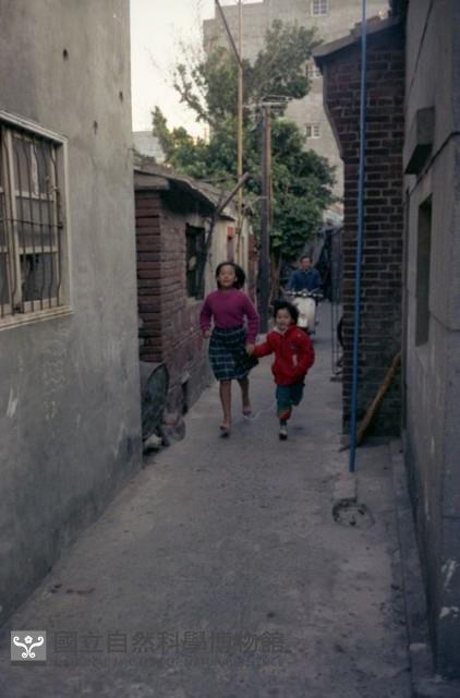 1950至2006年臺灣常民生活藏品圖，第1張