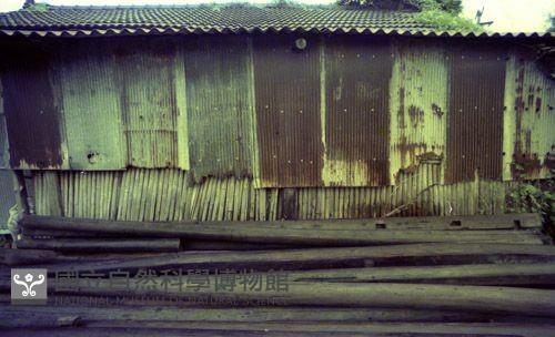 1950至2006年臺灣常民生活藏品圖，第1張