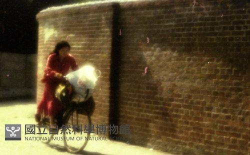 1950至2006年臺灣常民生活藏品圖，第1張