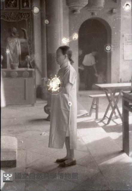 1950至2006年臺灣常民生活藏品圖，第1張