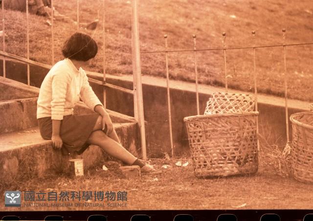 1950至2006年臺灣常民生活藏品圖，第1張