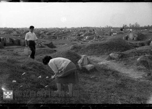 1950至2006年臺灣常民生活藏品圖，第1張