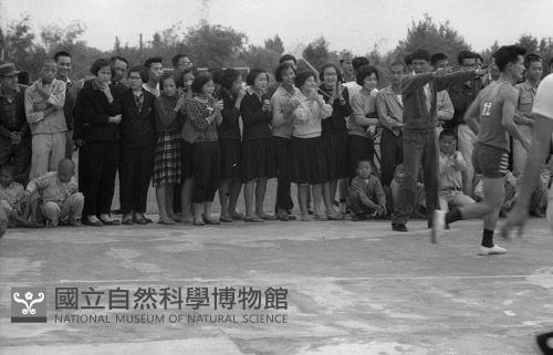 1950至2006年臺灣常民生活藏品圖，第1張