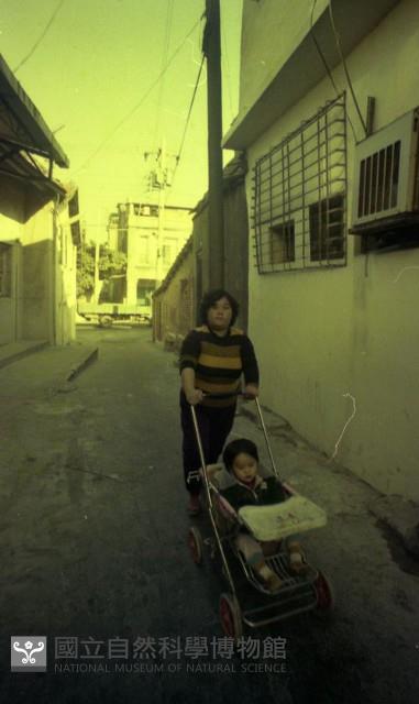 1950至2006年臺灣常民生活藏品圖，第1張