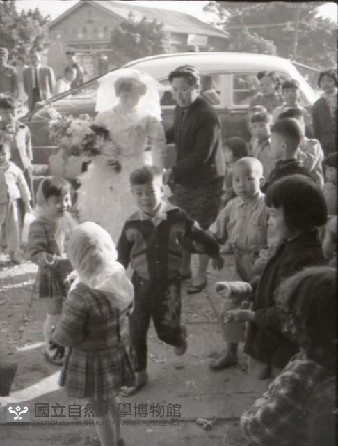 1950至2006年臺灣常民生活藏品圖，第1張