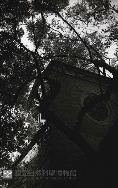 意樓（1950至2006年臺灣常民生活）藏品圖，第1張