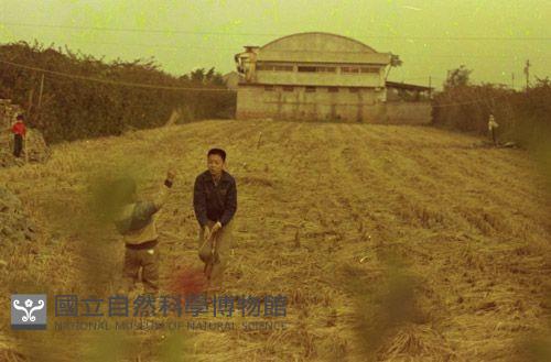 1950至2006年臺灣常民生活藏品圖，第1張
