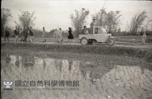 1950至2006年臺灣常民生活藏品圖，第1張