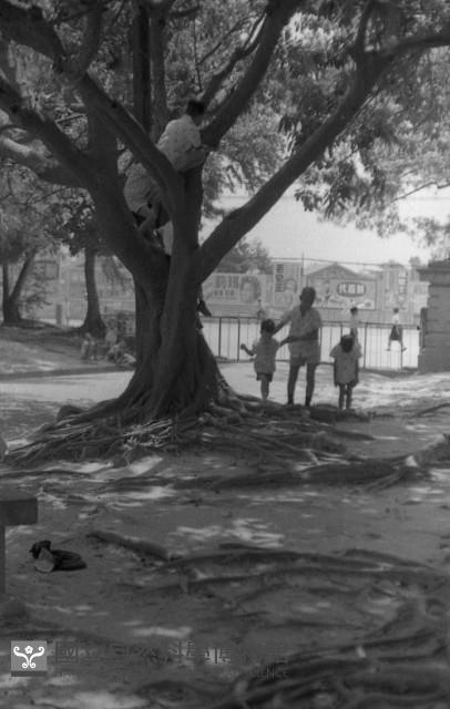 1950至2006年臺灣常民生活藏品圖，第1張