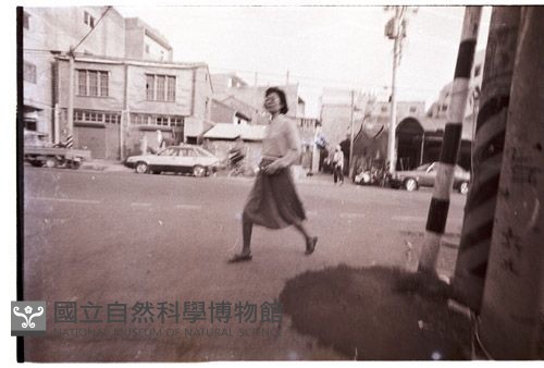 1950至2006年臺灣常民生活藏品圖，第1張