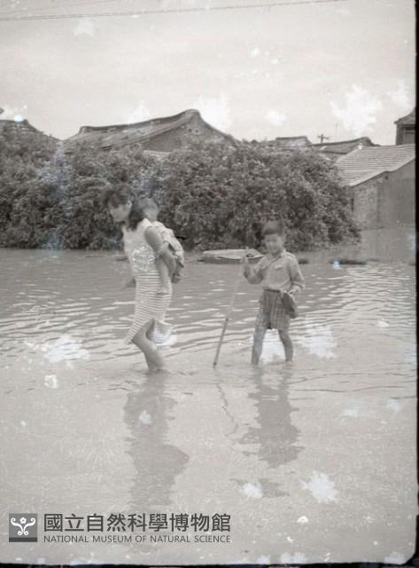 1950至2006年臺灣常民生活藏品圖，第1張