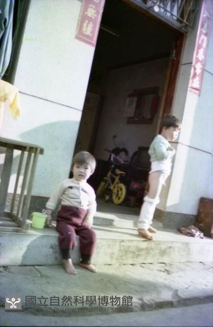 1950至2006年臺灣常民生活藏品圖，第1張