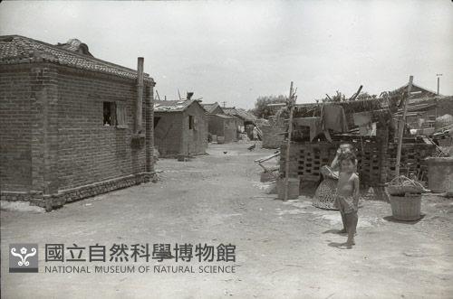 1950至2006年臺灣常民生活藏品圖，第1張
