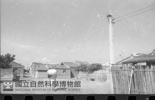 1950至2006年臺灣常民生活藏品圖，第1張