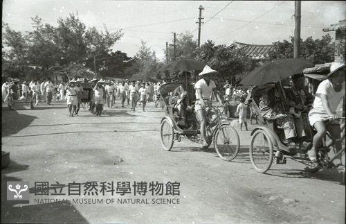 1950至2006年臺灣常民生活藏品圖，第1張