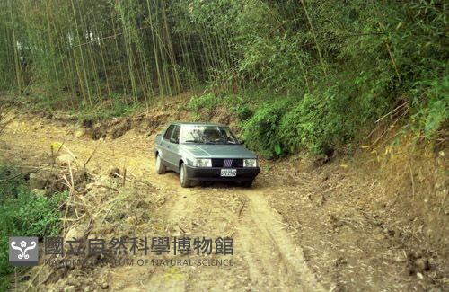 1950至2006年臺灣常民生活藏品圖，第1張