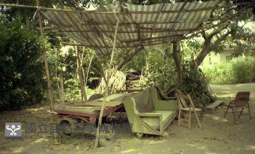 1950至2006年臺灣常民生活藏品圖，第1張