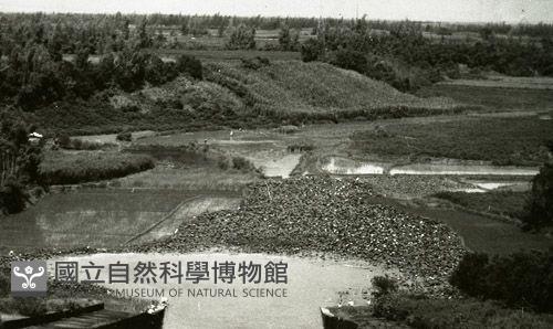 1950至2006年臺灣常民生活藏品圖，第1張