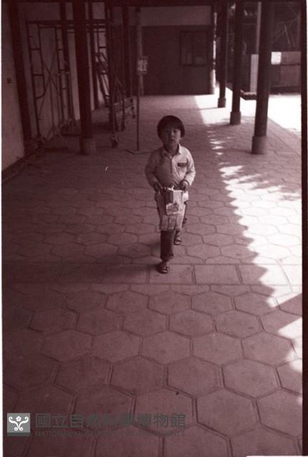 1950至2006年臺灣常民生活藏品圖，第1張