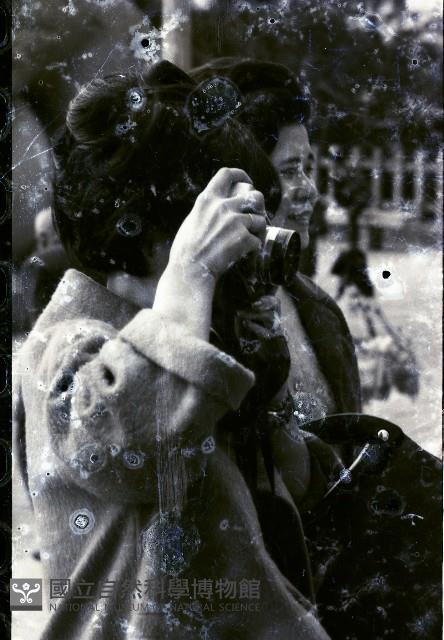 1950至2006年臺灣常民生活藏品圖，第1張