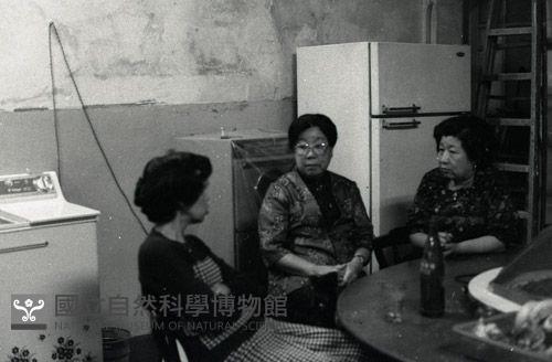 1950至2006年台灣常民生活藏品圖，第1張