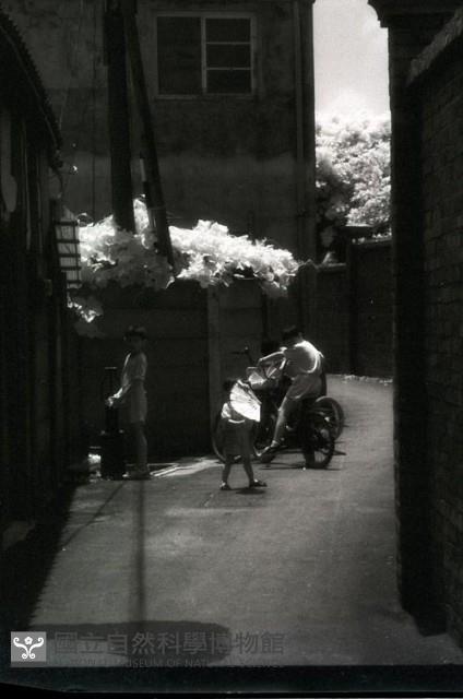 1950至2006年臺灣常民生活藏品圖，第1張