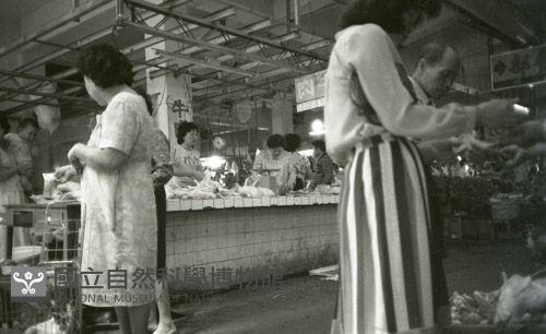 1950至2006年臺灣常民生活藏品圖，第1張