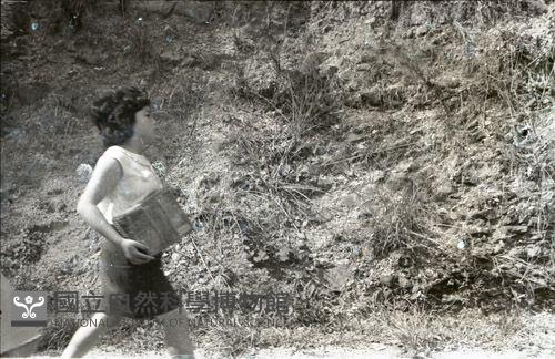 1950至2006年臺灣常民生活藏品圖，第1張