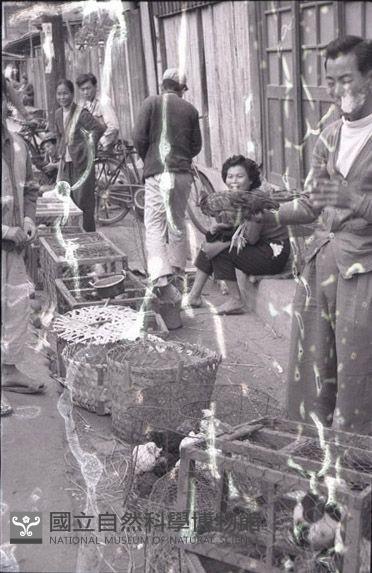 1950至2006年臺灣常民生活藏品圖，第1張