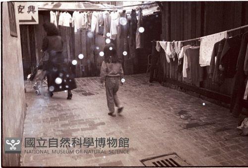 1950至2006年臺灣常民生活藏品圖，第1張