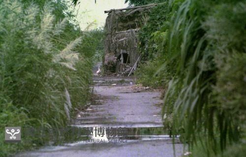 1950至2006年臺灣常民生活藏品圖，第1張