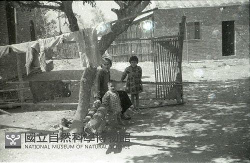 1950至2006年臺灣常民生活藏品圖，第1張