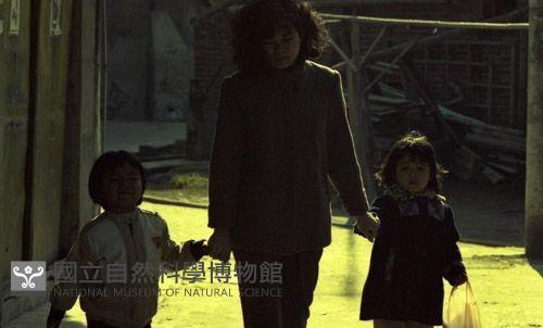 1950至2006年臺灣常民生活藏品圖，第1張