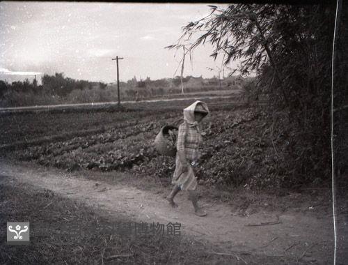 1950至2006年台灣常民生活藏品圖，第1張